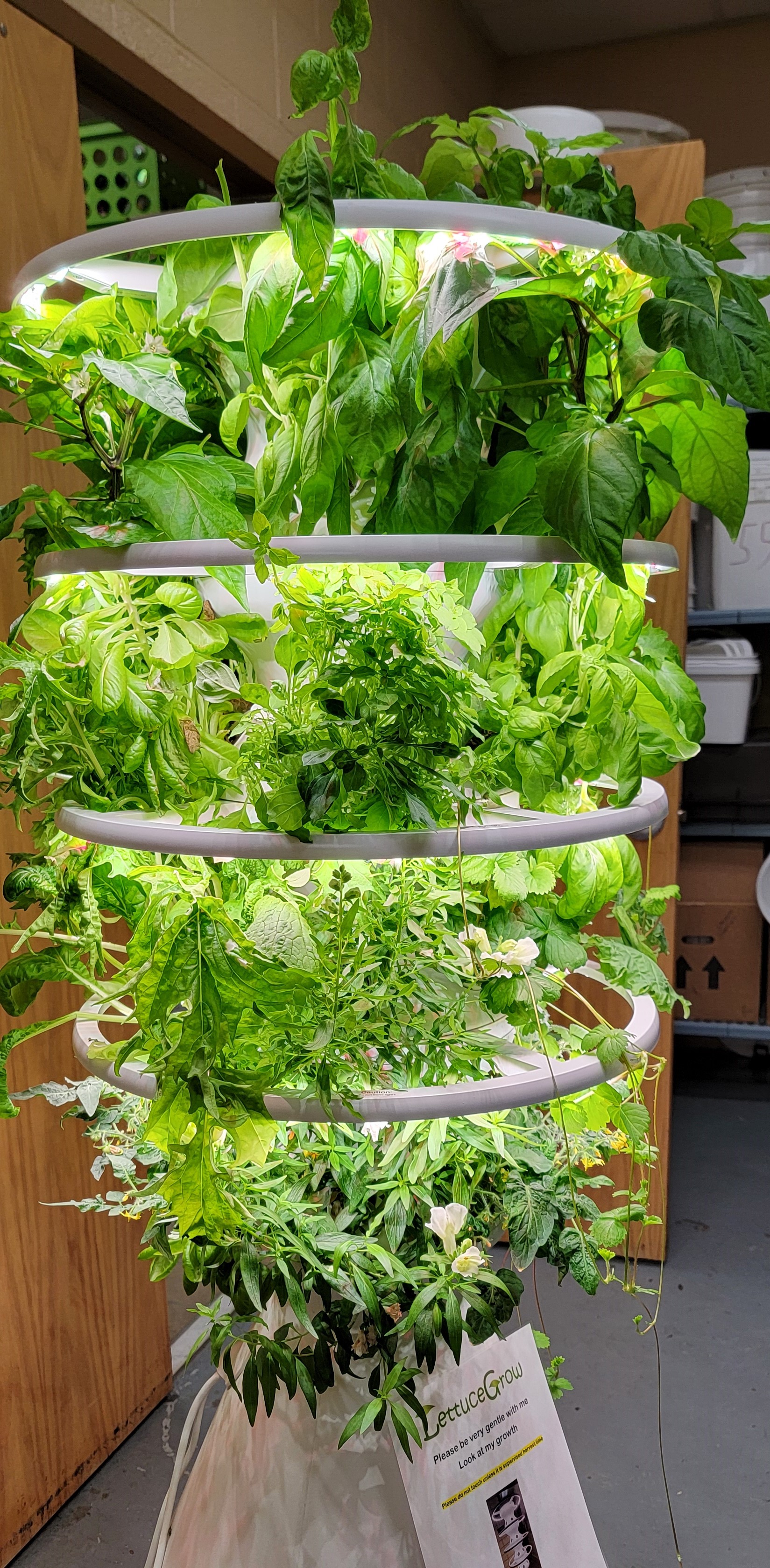 July Grow Tower