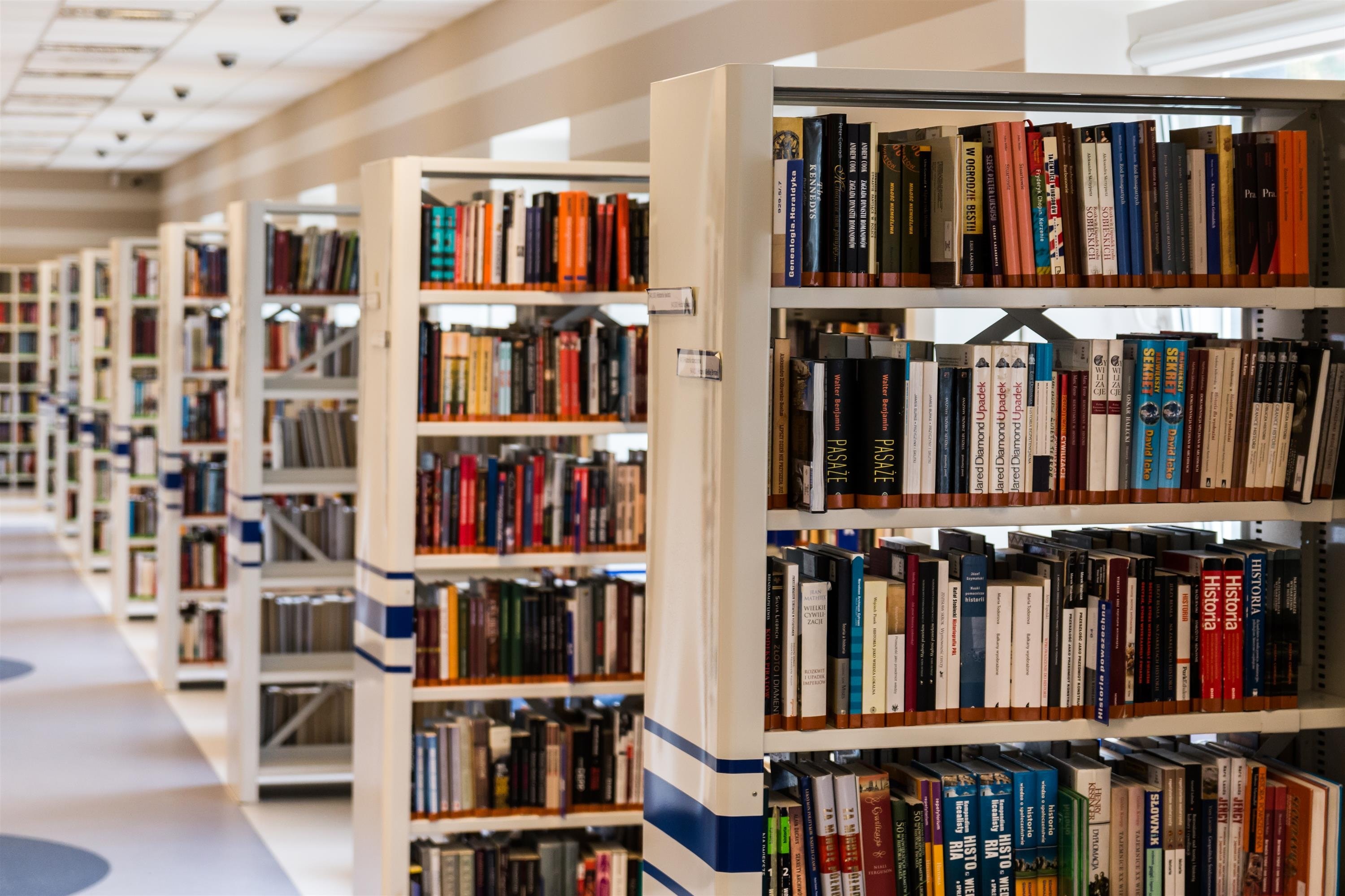 Library Shelves full of books