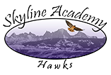 Skyline Academy High School