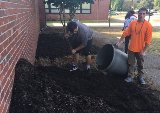 Almost done with the Mulch