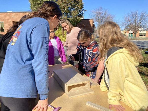 Students building bat boxes