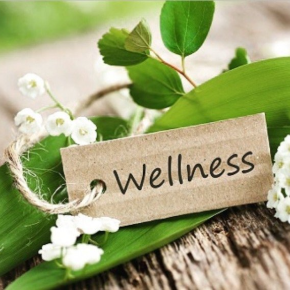 Wellness written on a small piece of wood on leaves resting on a log