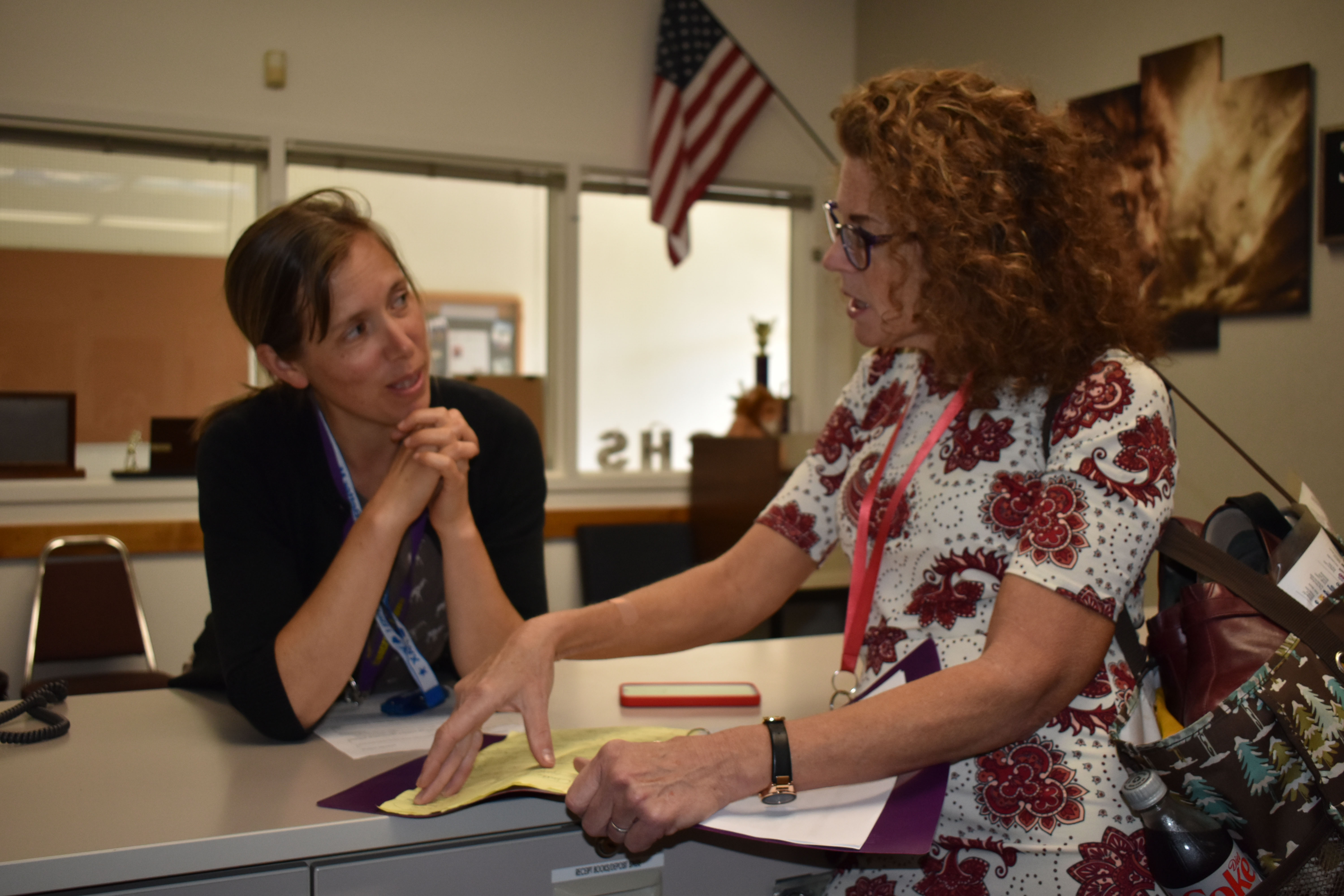 Teachers Collaborating