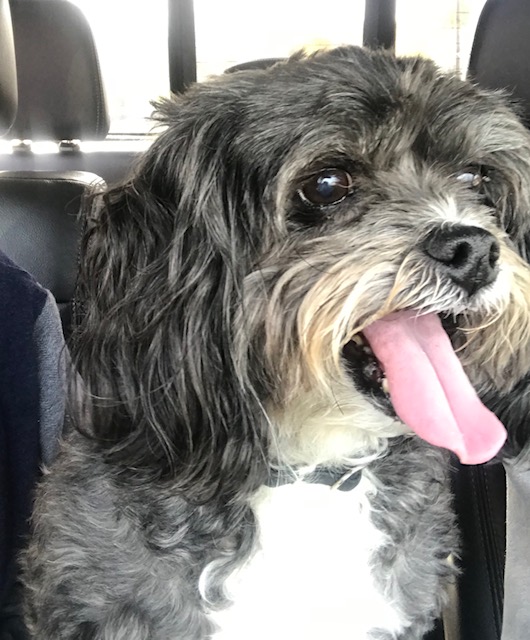 From the Principal West Carthage Elementary School