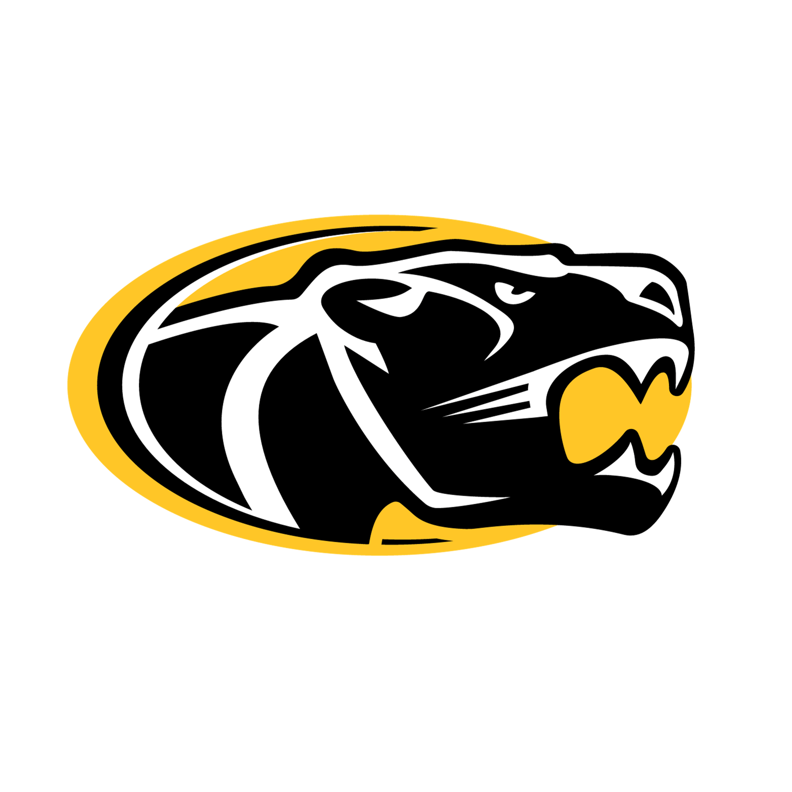 Home Raymond School District 14