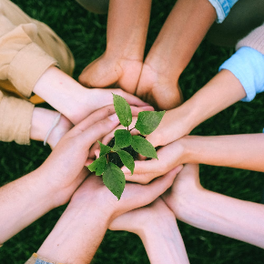 Kids holding plant in circle of hands