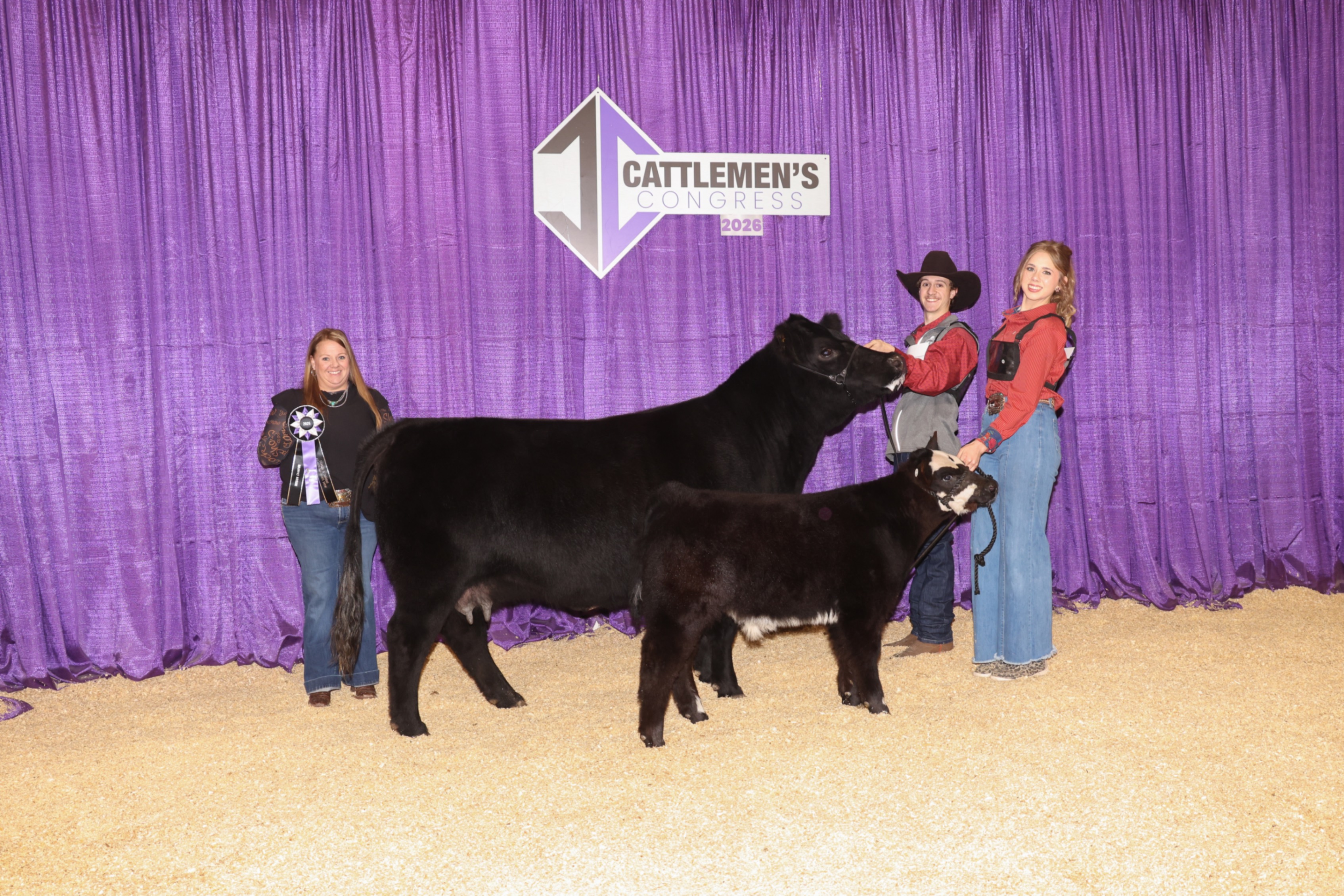 Champion Chianina Cow/Calf pair in the Jr show and Open Show at Cattlemen’s Congress