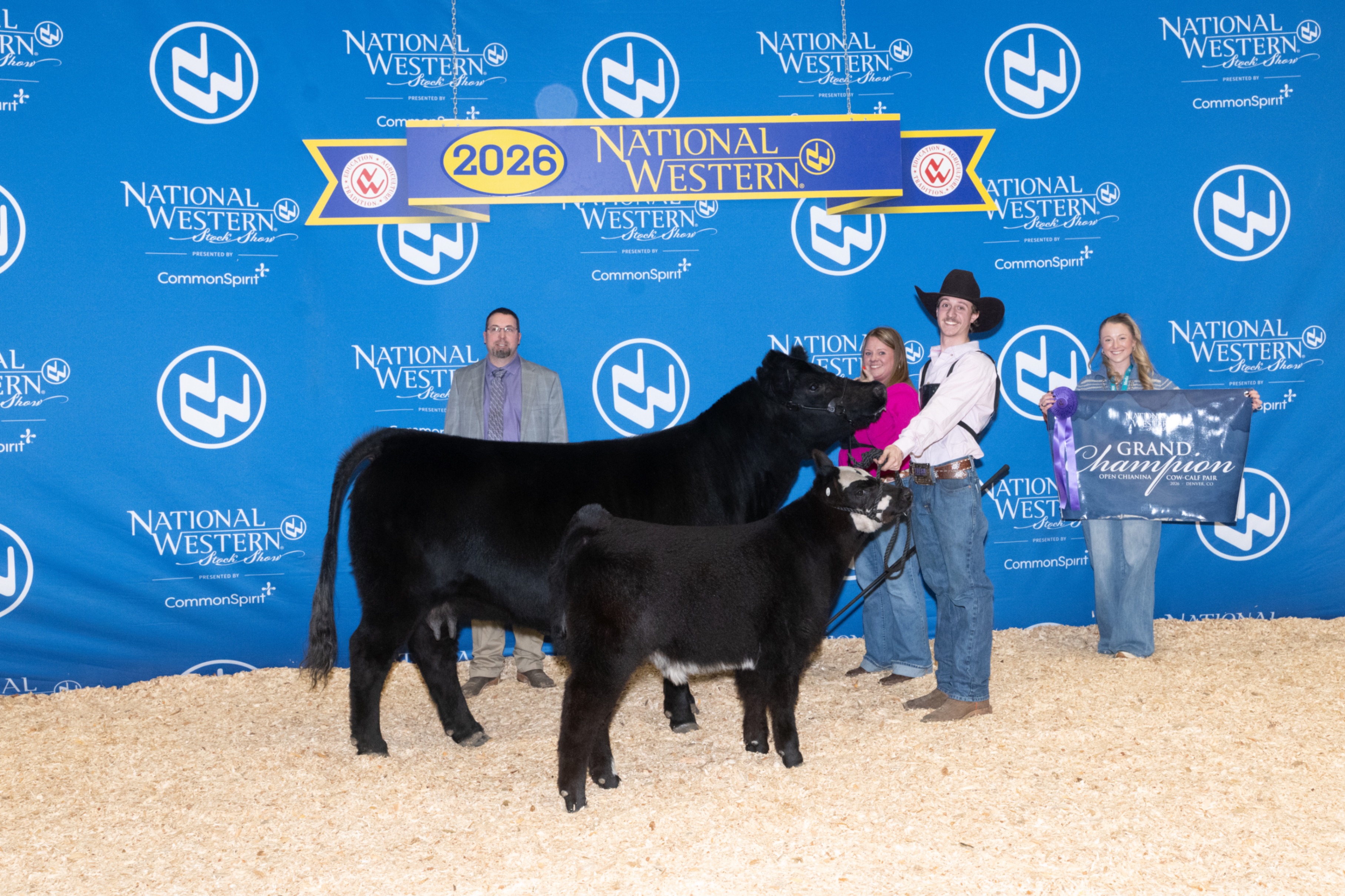 Khyler Marshall exhibited the Grand Champion Chianina Cow/Calf pair in the junior show and open show at the National Western in Denver this last week.