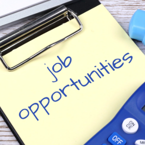 job opportunities