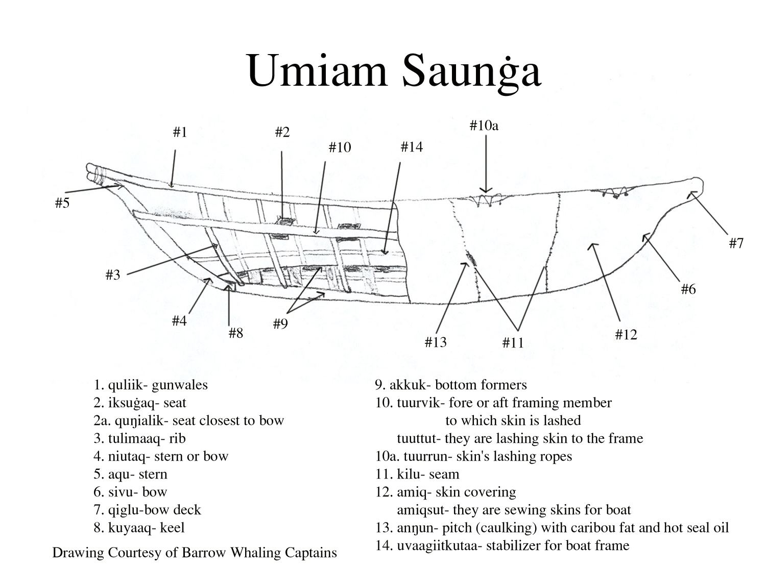 Umiaq diagram