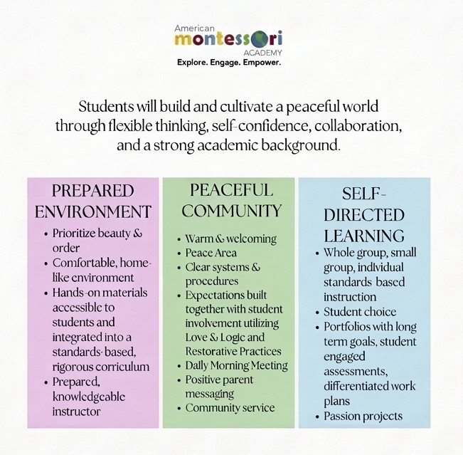 Figure showing Montessori vision