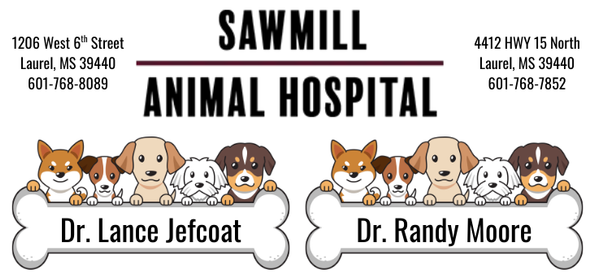 September Adopter Spotlight