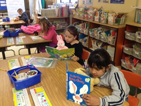 DL Reading