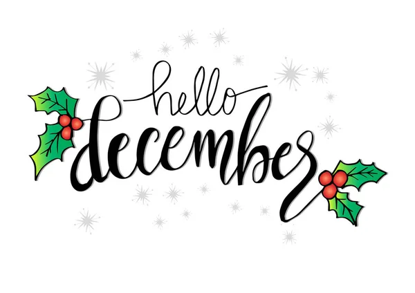 Hello December with two hollys on the left and right side.