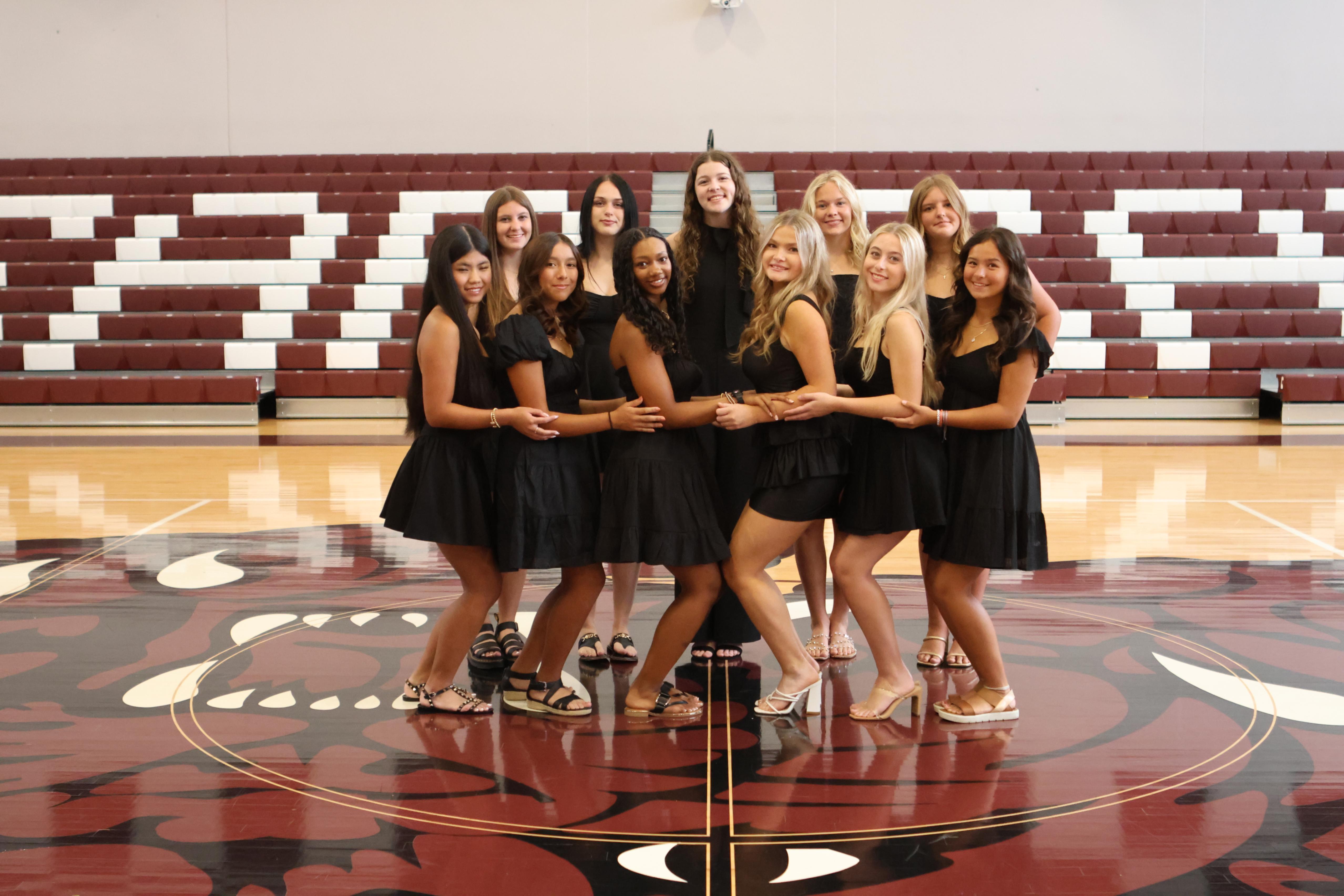 senior maids