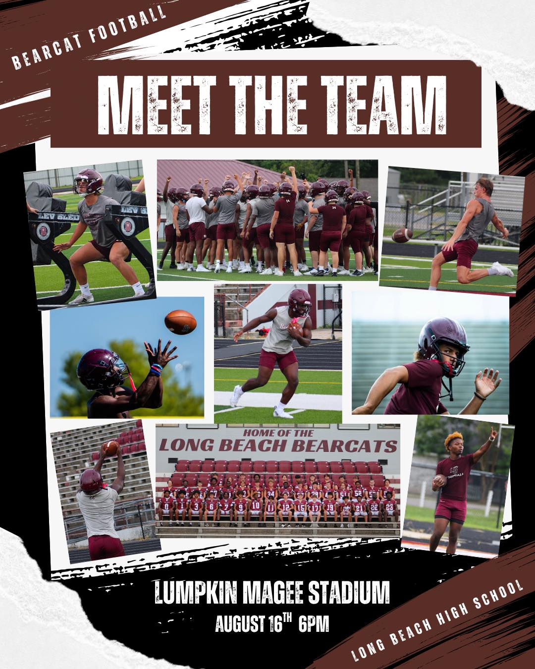 meet the team