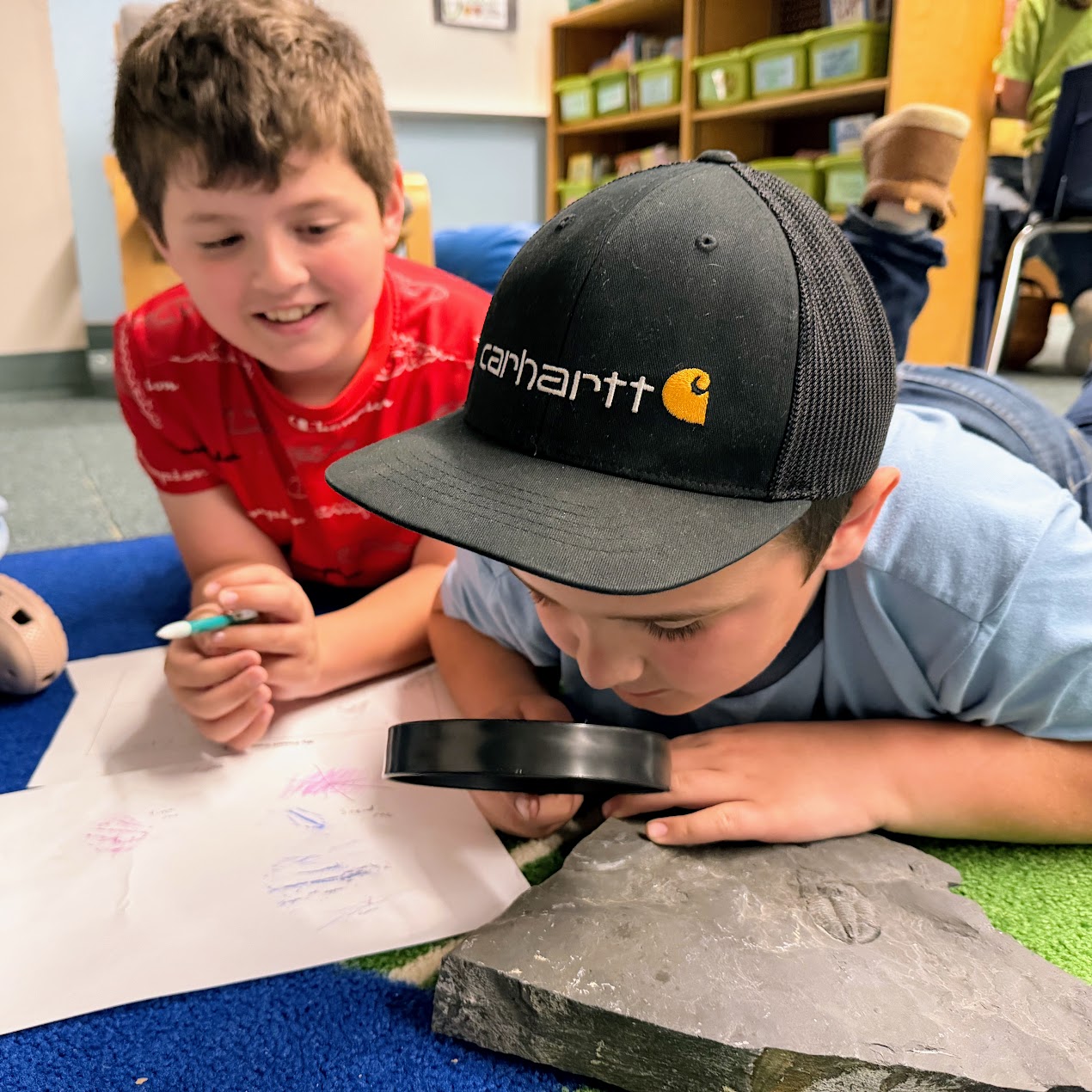 A student studies fossils. 