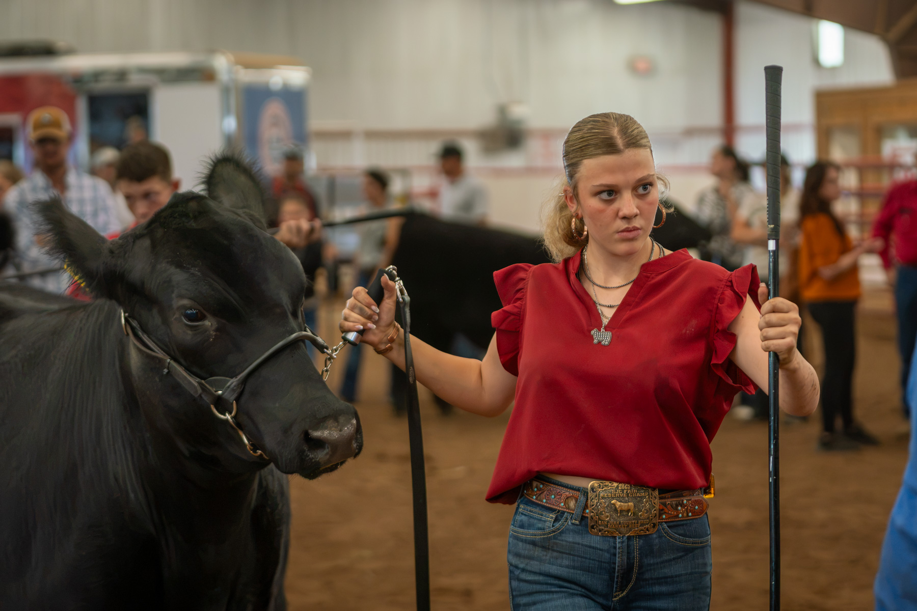 Steer Showcase FFA Kirtland