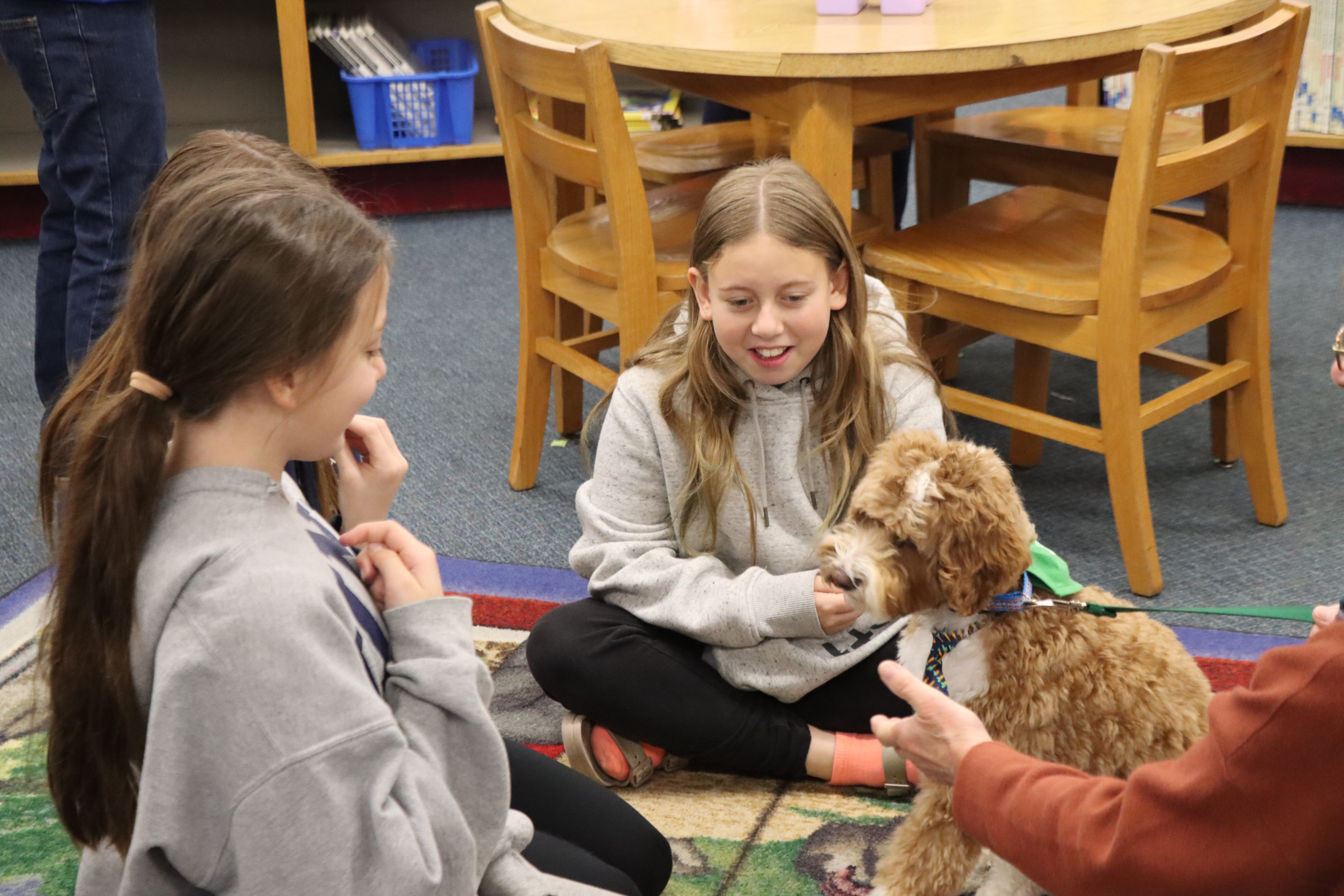 students playing with dog