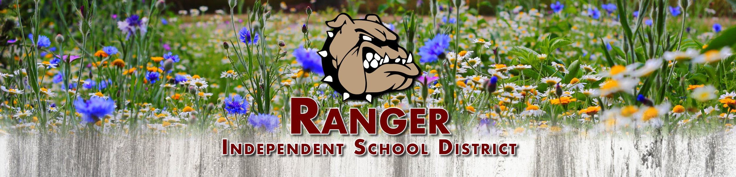 Welcome to Ranger ISD