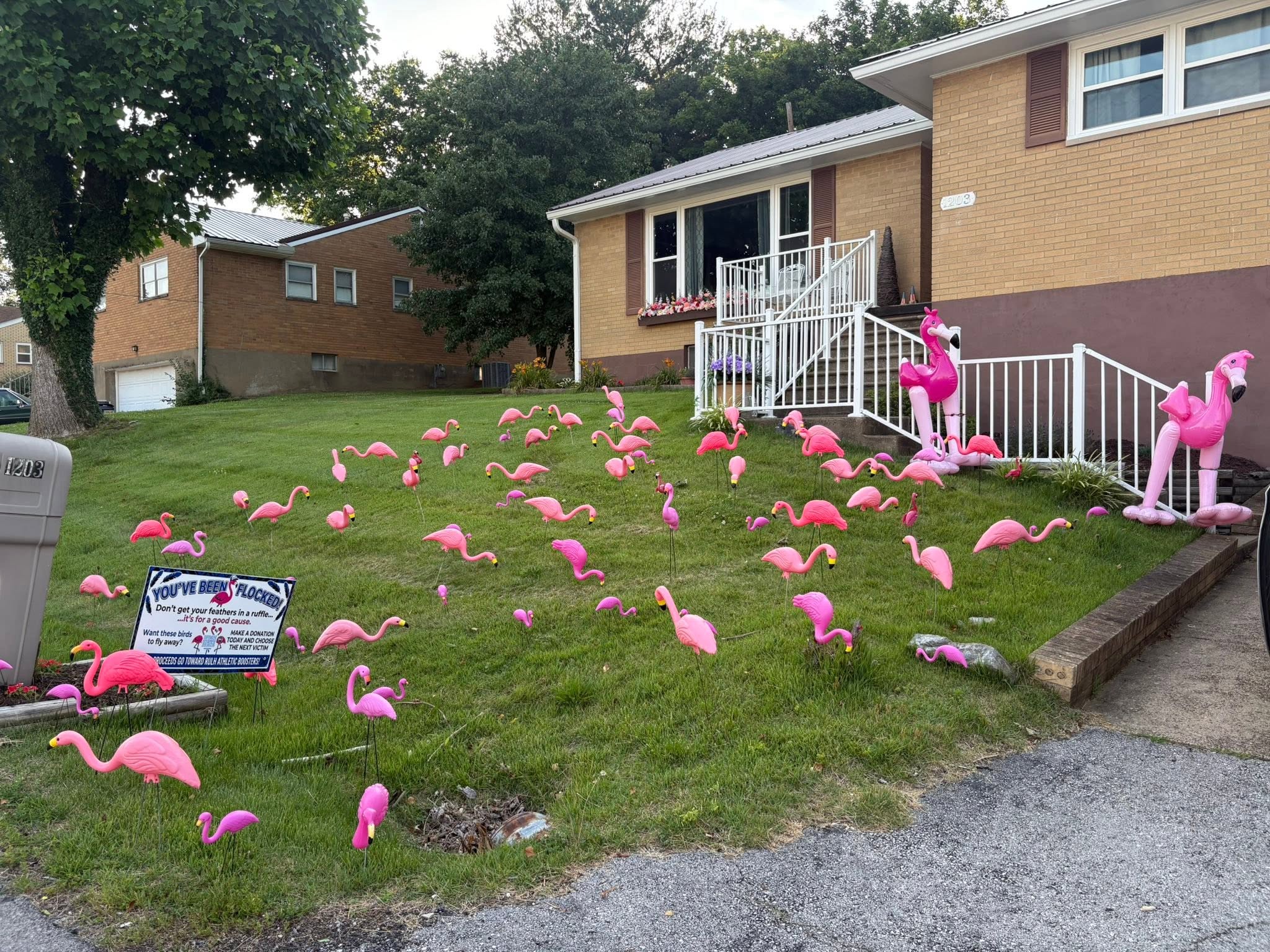 Flamingo Finale