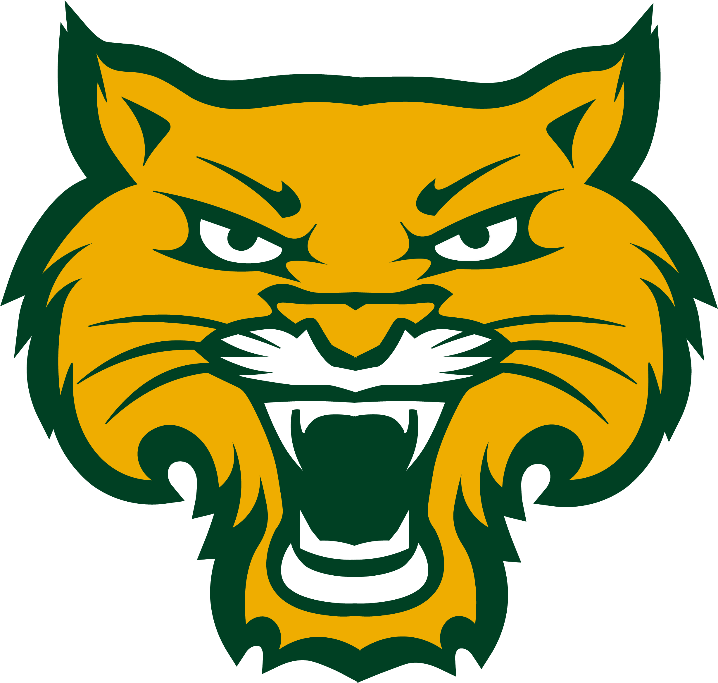 wildcat