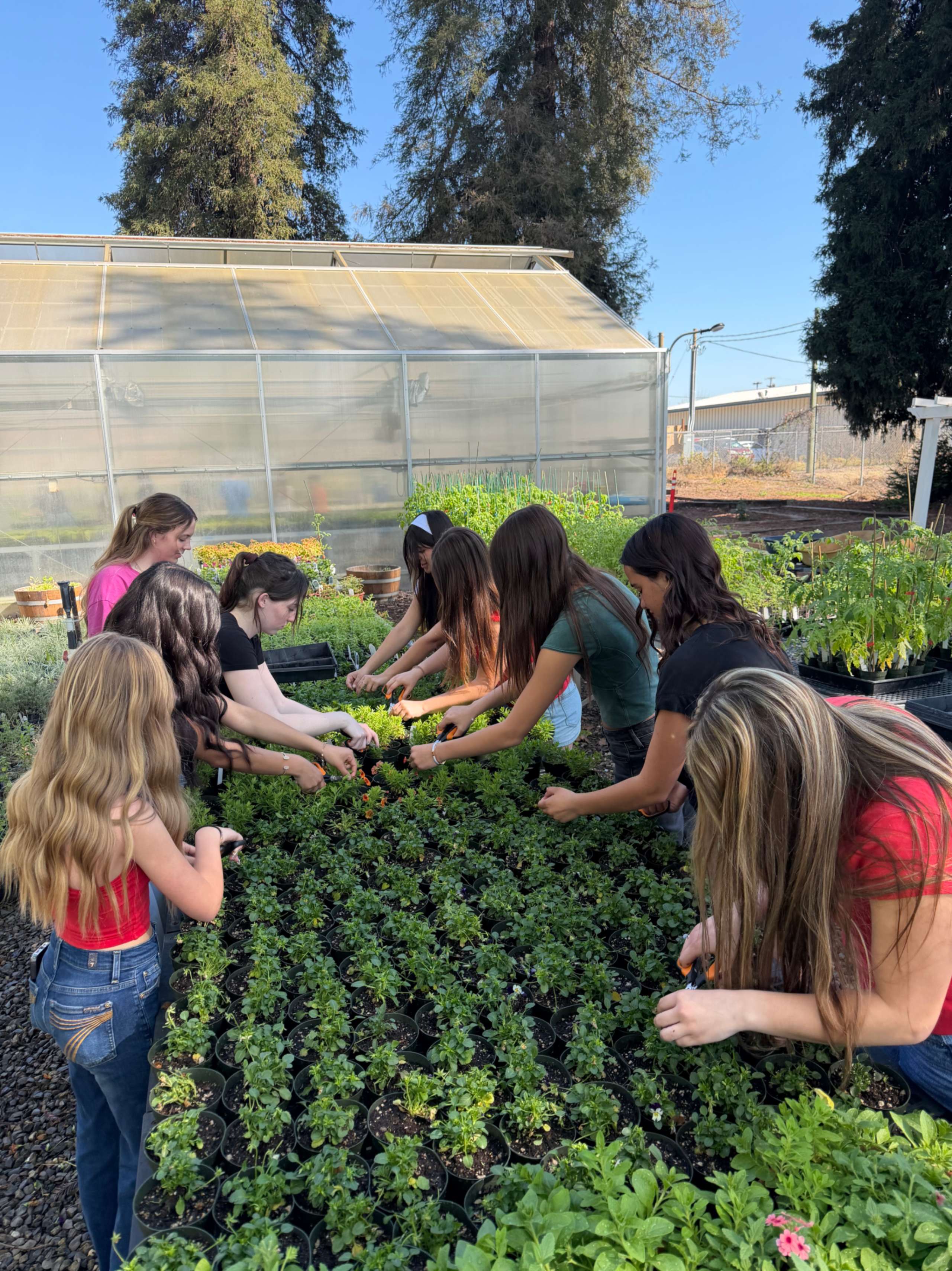 Mark Your Calendars for the Hughson FFA Plant Sale, March 27 and 28