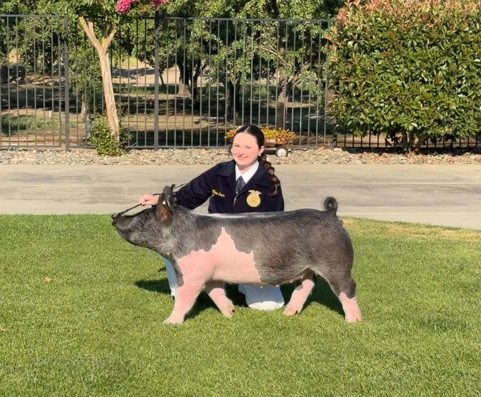 Hughson FFA named Ag Horticulture Sweepstakes Winner for Stanislaus County Fair