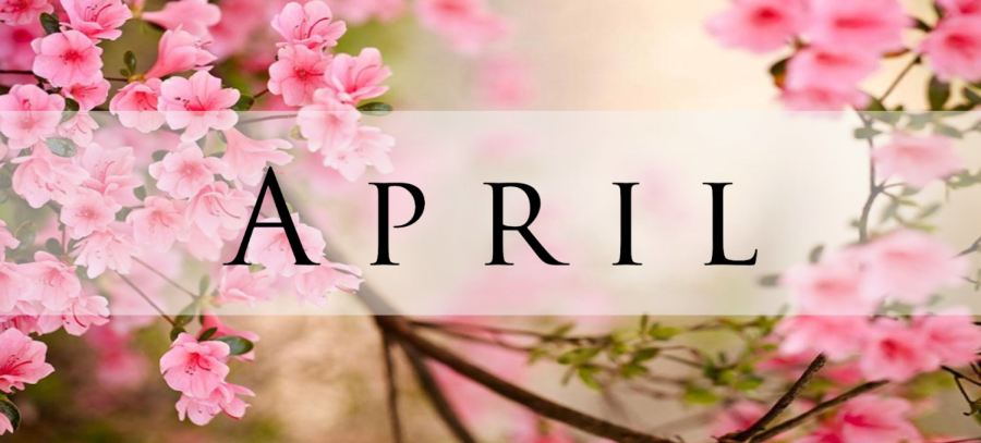Abundant clusters of vibrant pink azalea flowers in full bloom, covering branches with dark green leaves, frame a central, horizontal, partially translucent white banner overlay. The word 'APRIL' is prominently displayed in large, bold, black, all-caps serif text on the banner. The flowers extend on the left and right, with a soft, natural bokeh of more pink blossoms and a warm, diffused light in the background. The style is a seasonal, spring-welcoming photograph.