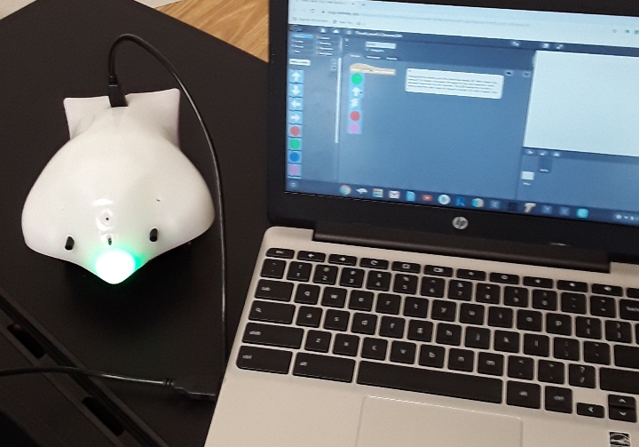 robot and computer