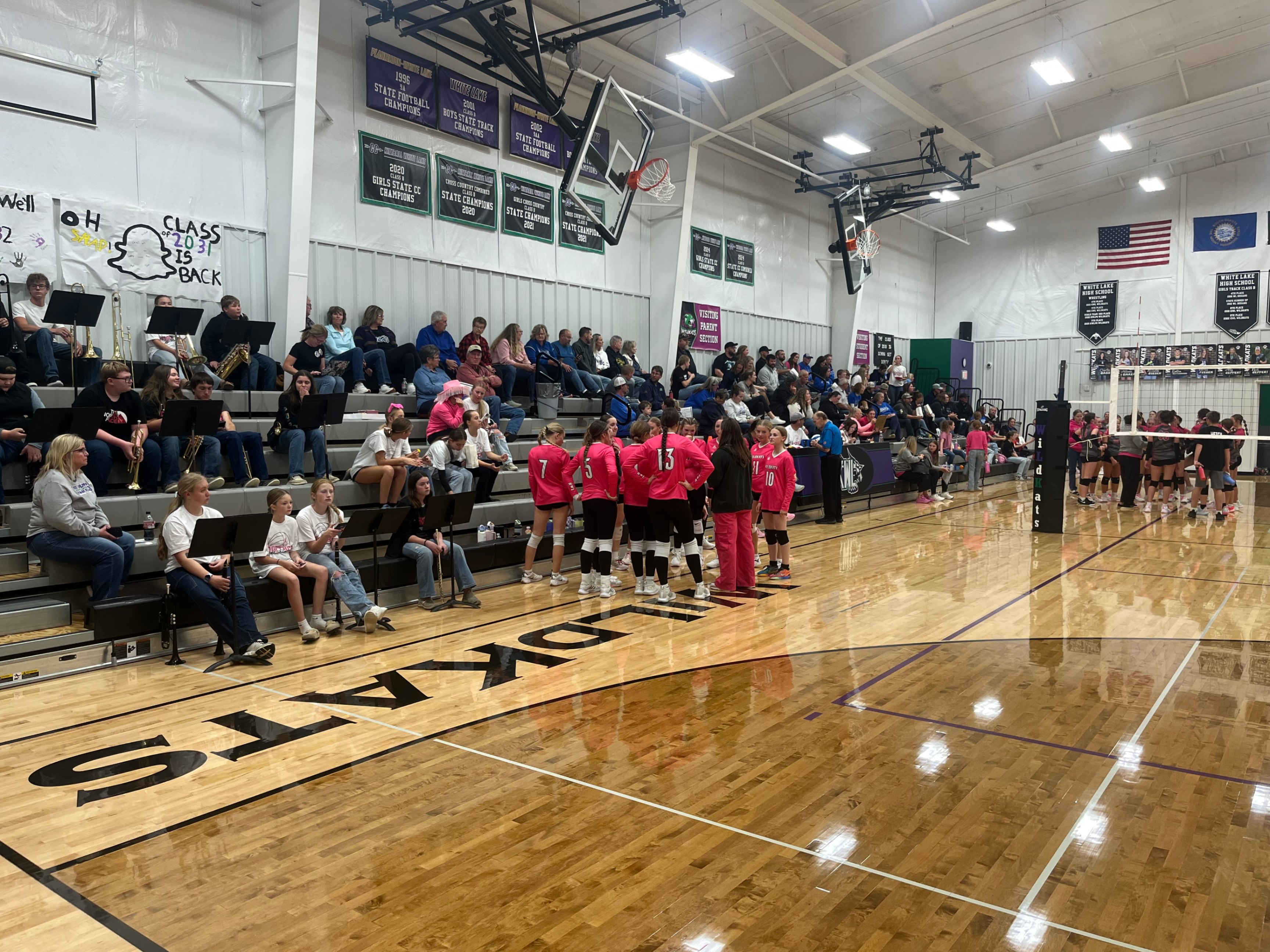 Think Pink Night