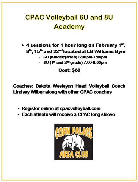Youth Volleyball Opportunities