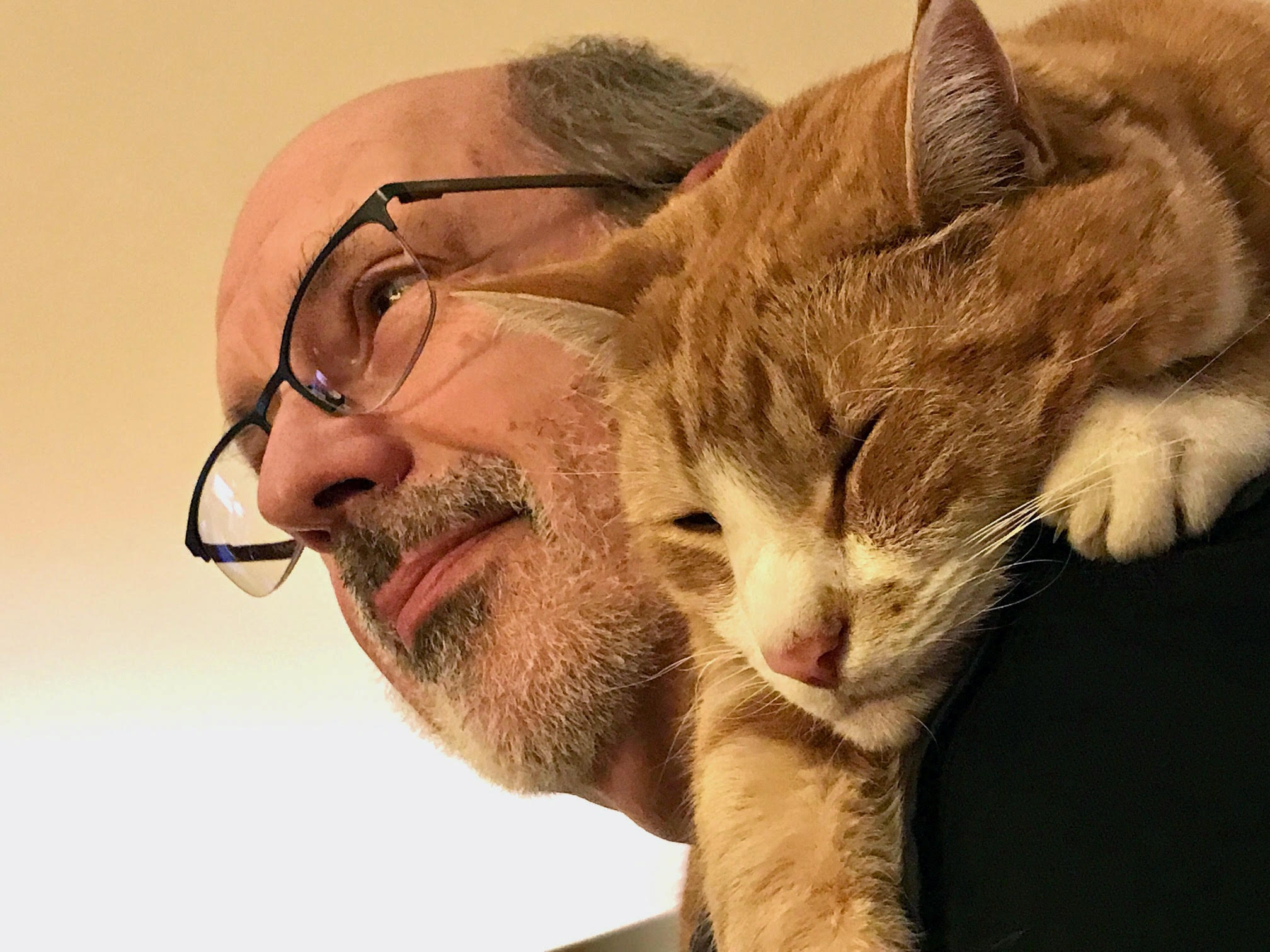 Close up of the profile of a man with glasses and an orange cat resting on his shoulder. 