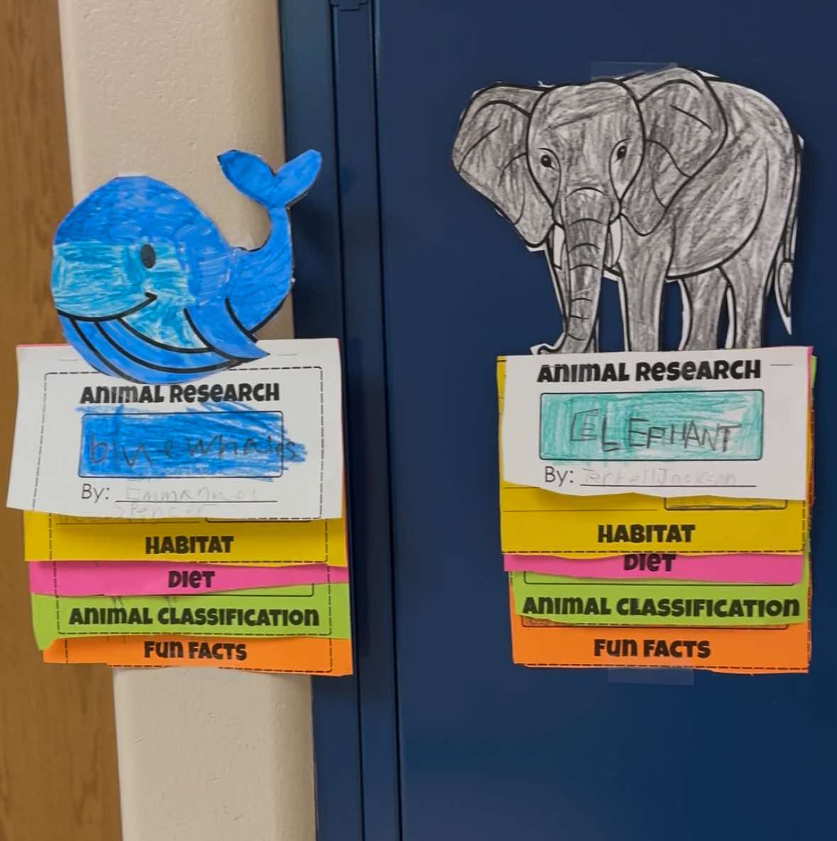 Whale and Elephant Student Project