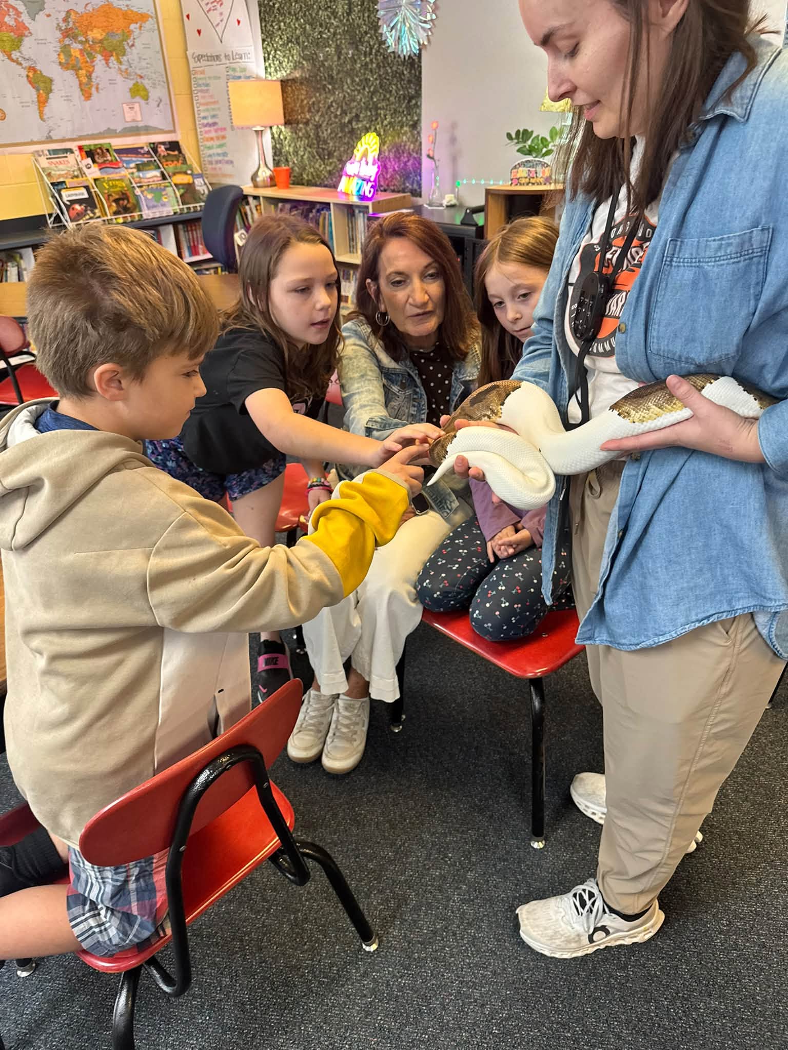 Students touch the Ball Python that came to visit.