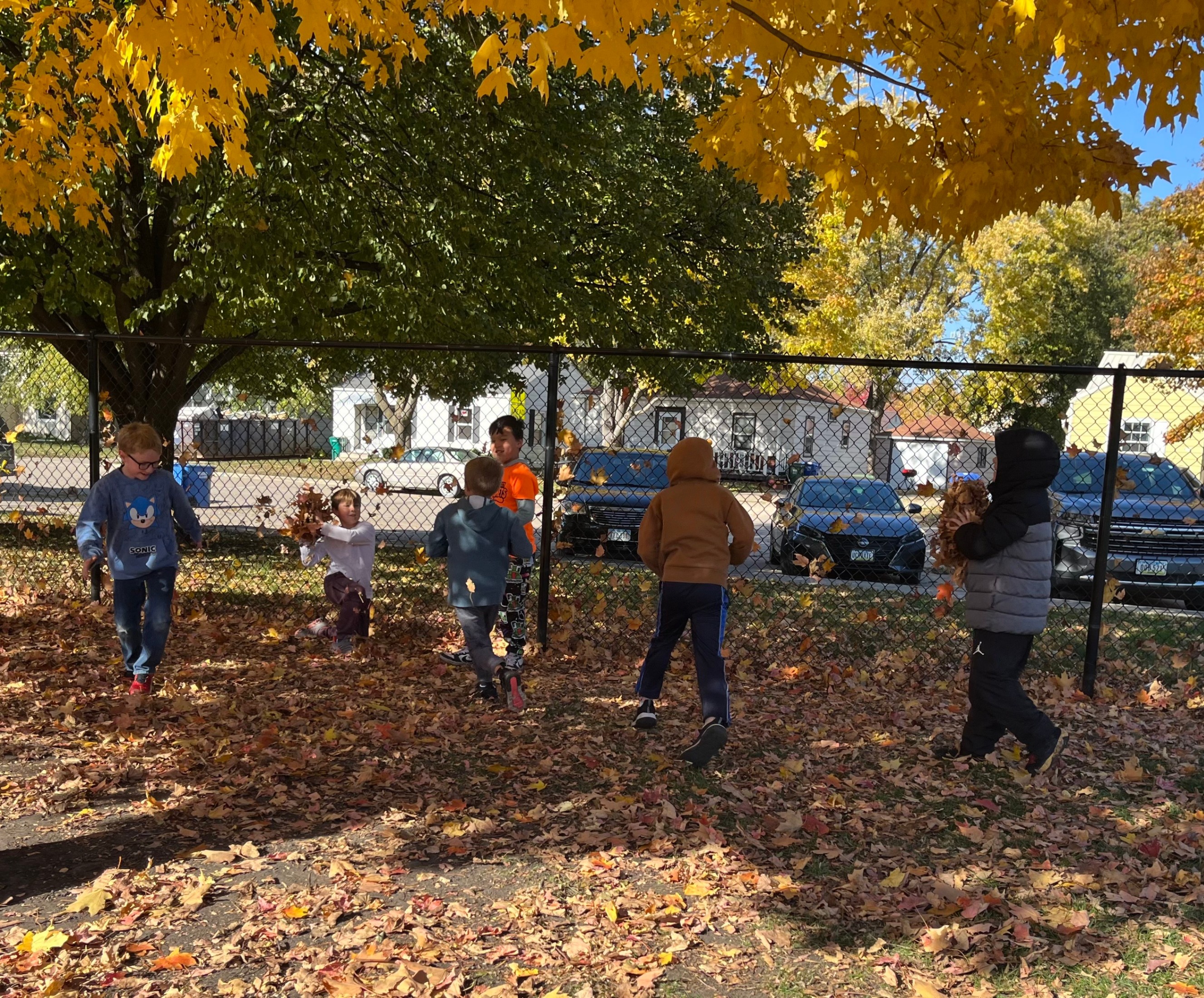 students playing in the leaves