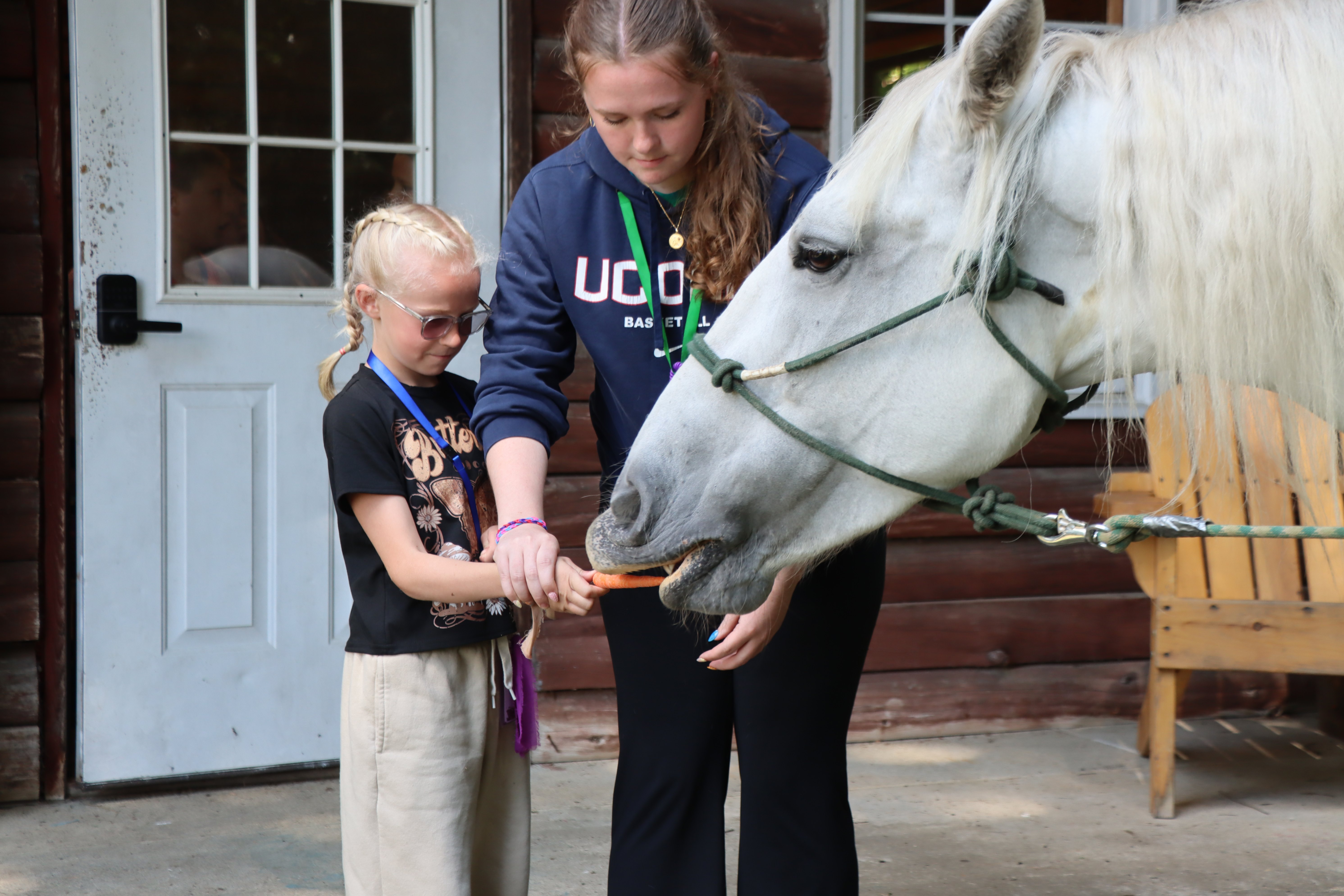 camper feeding a carrot to Babe the horse