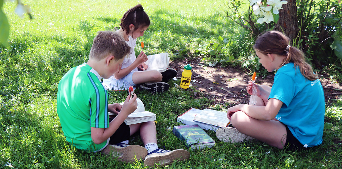 A fourth grade class at Craftsbury Schools enjoys an outdoor popsicle and book reading PBIS celebration in recognition of their work on positive behaviors.