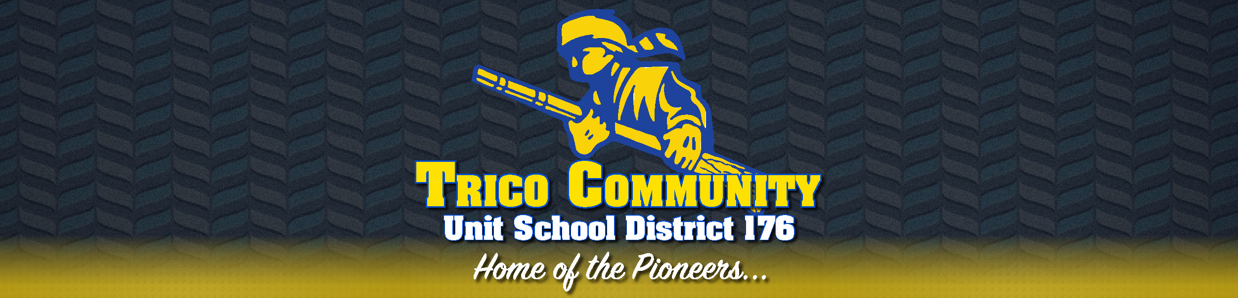 Welcome to the Trico Community School District 176