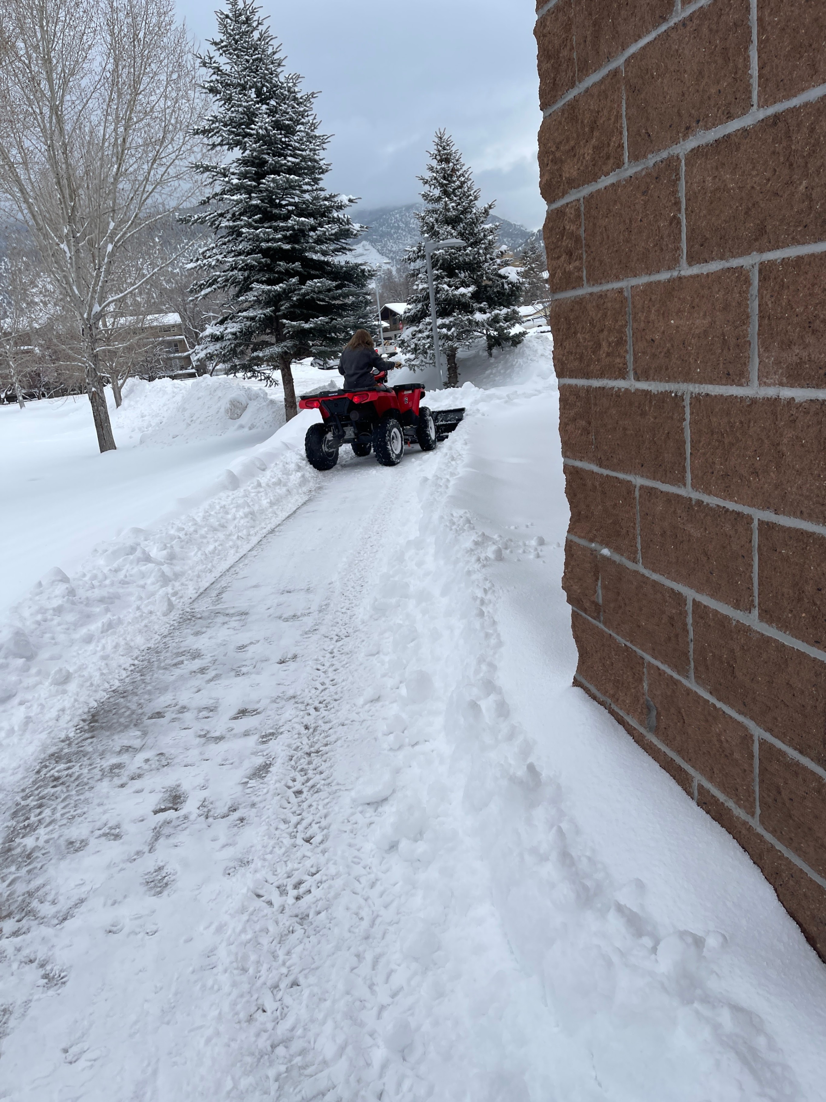 Snow Removal