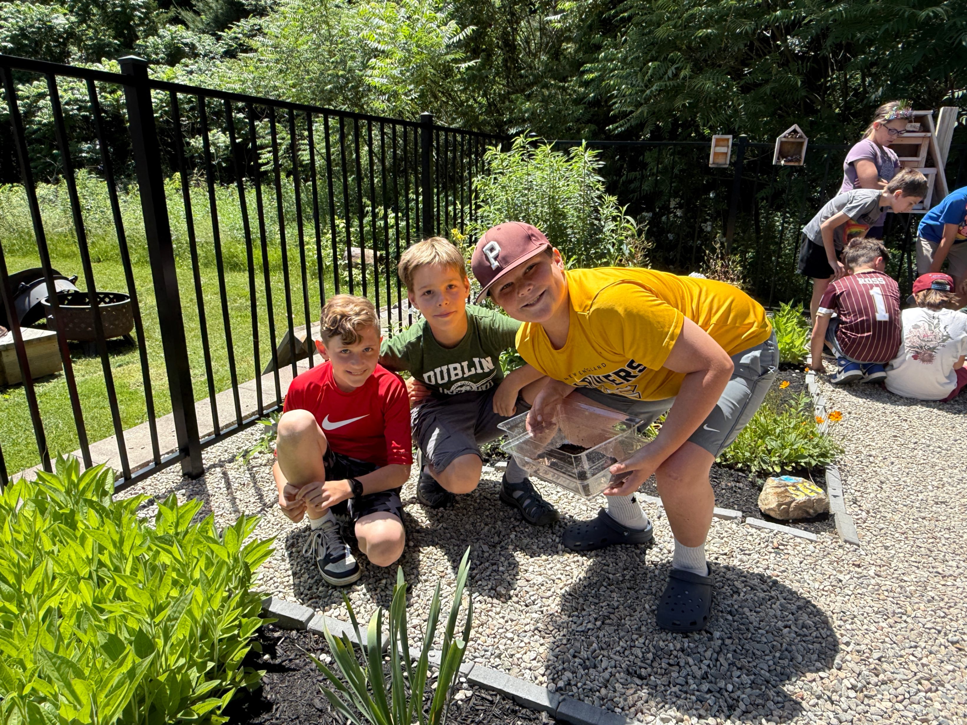 Gr. 5 Science- Pill and Sow Bugs
