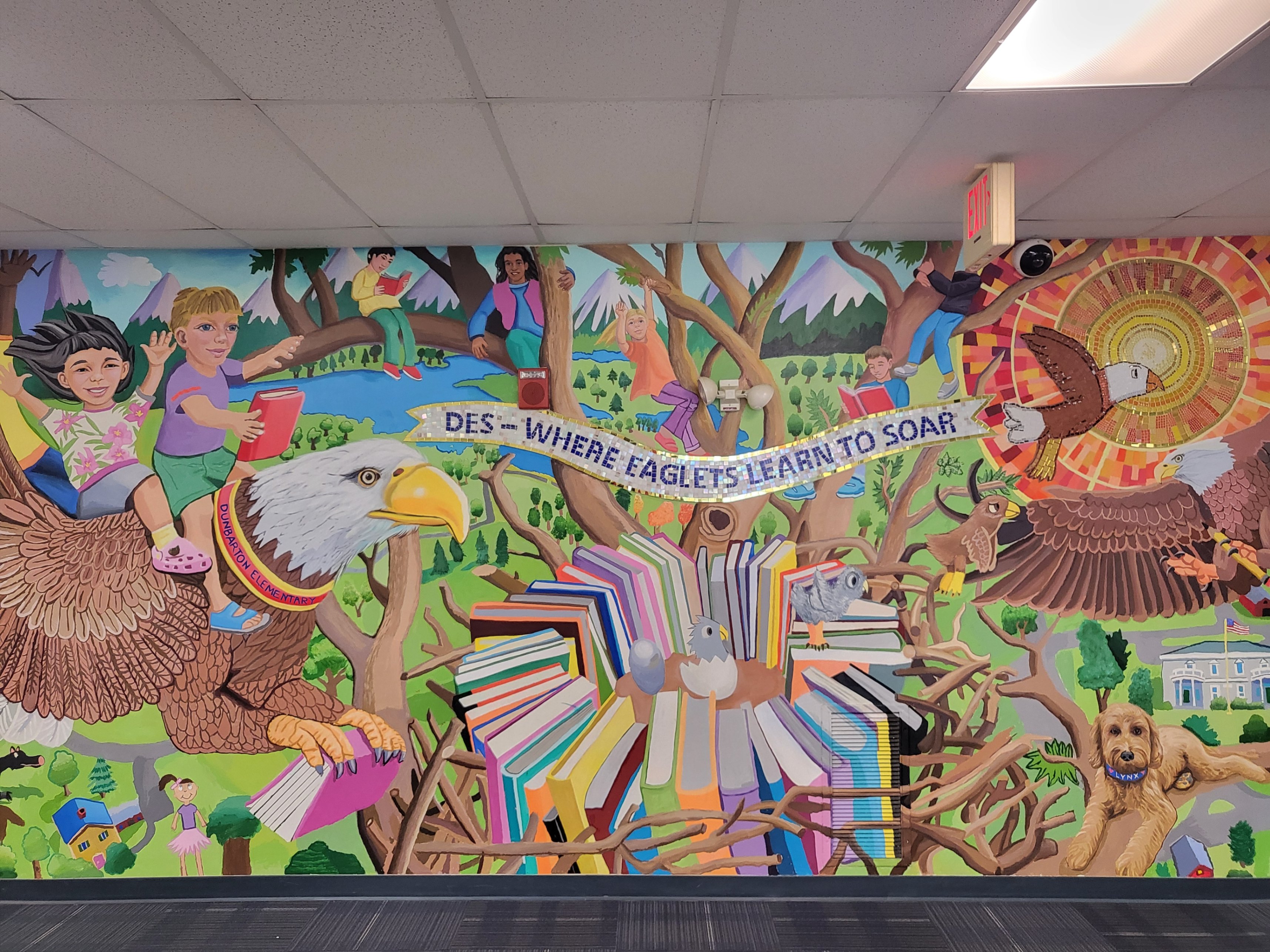 An Eagle Eye View- 1/16/26