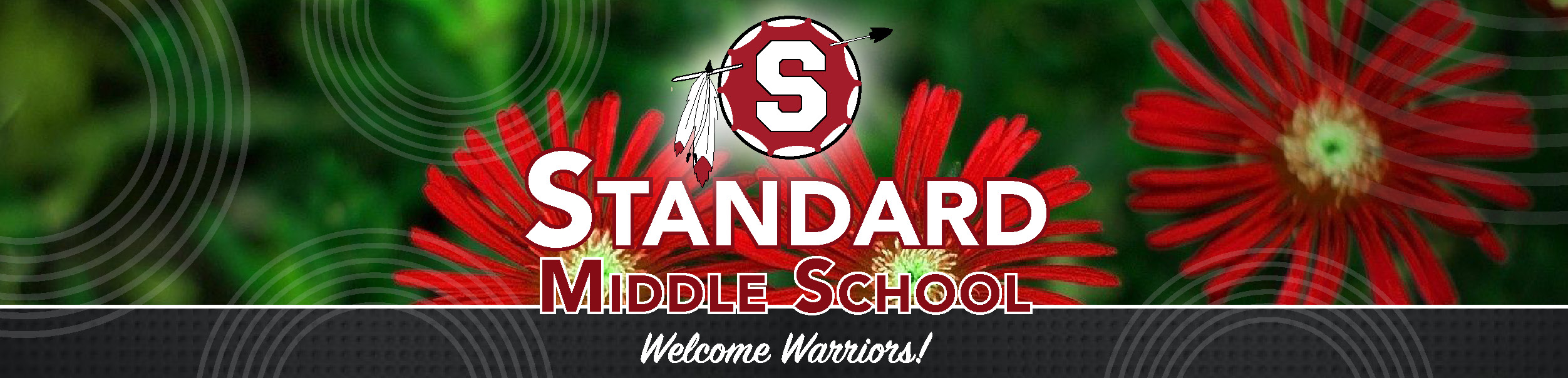 Home Standard Middle