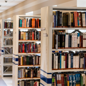 Library book shelves