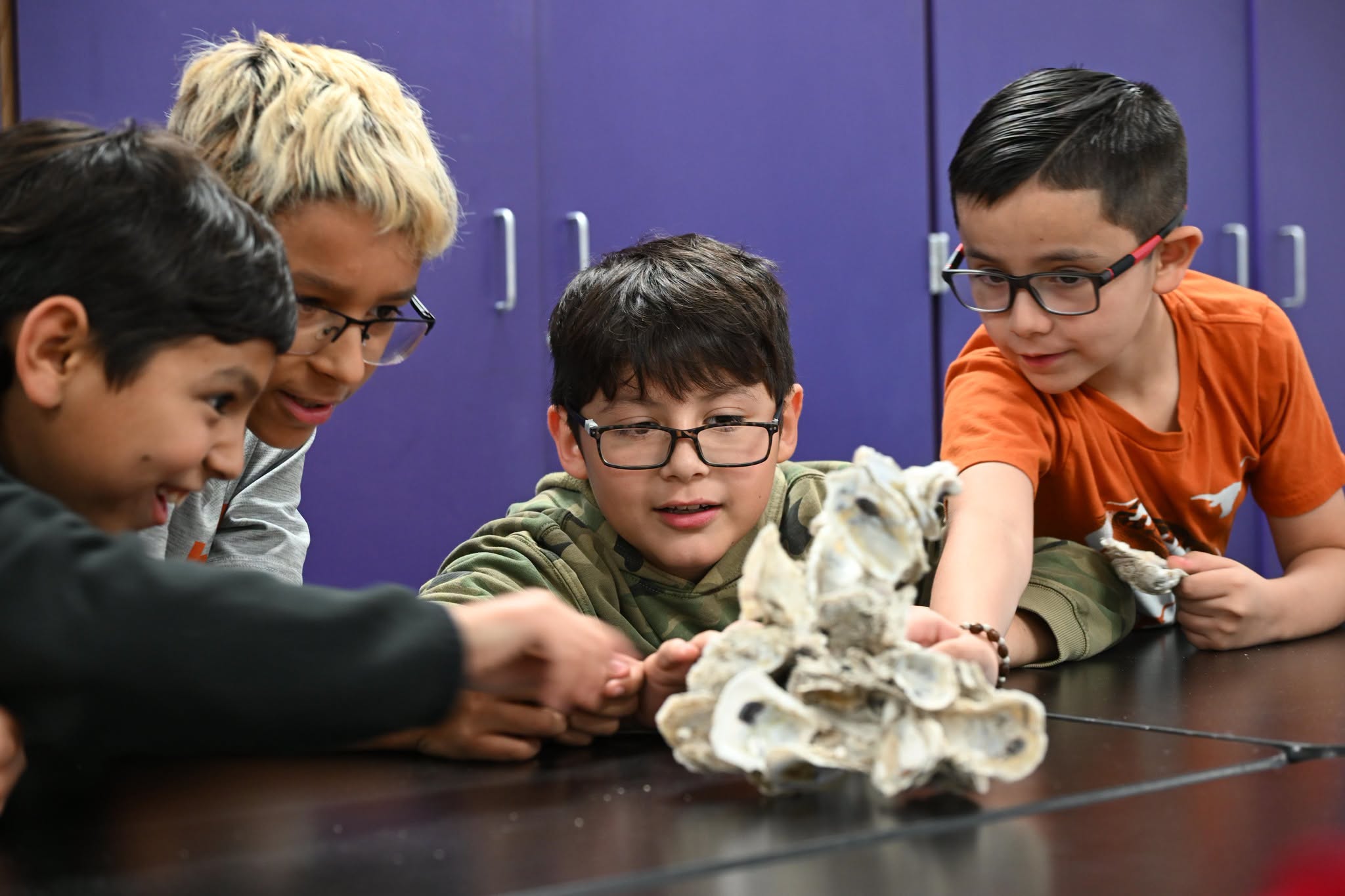 Oyster Lab at Noonan