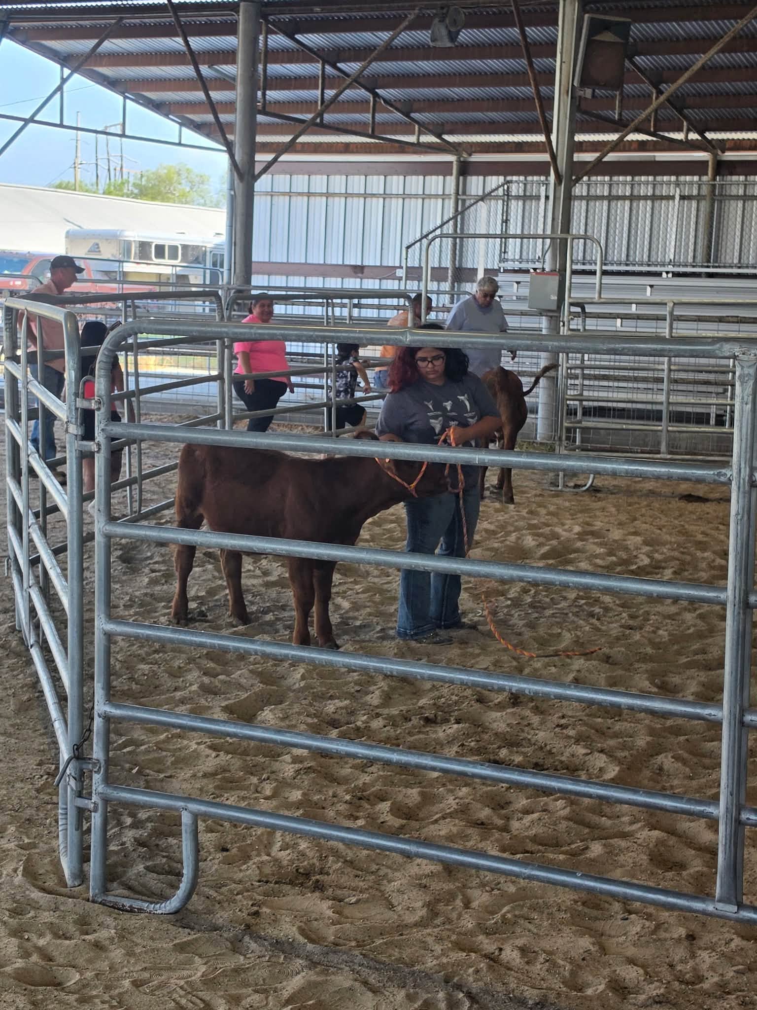 Preps for Fair