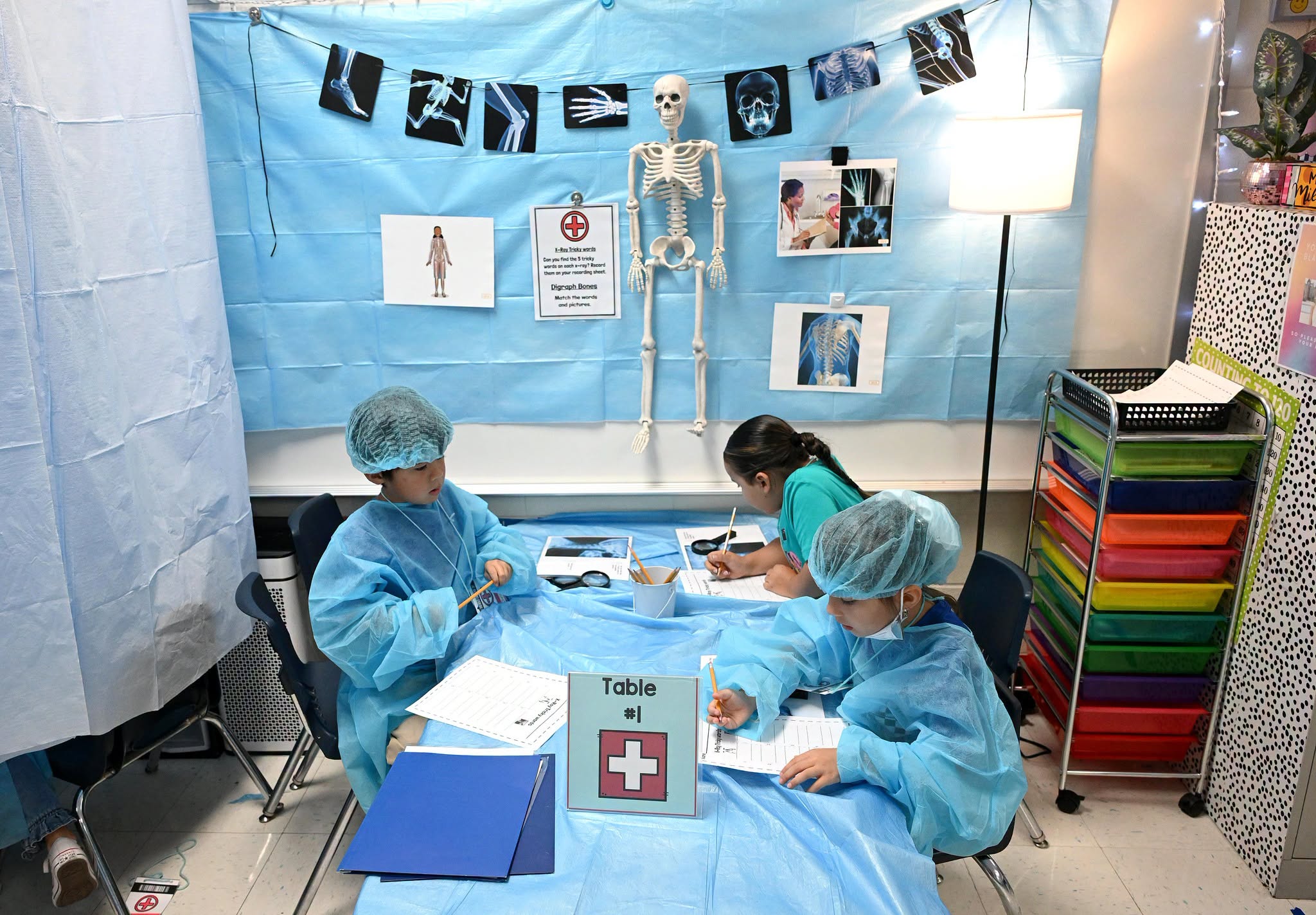 Schallert Human Body reading unit