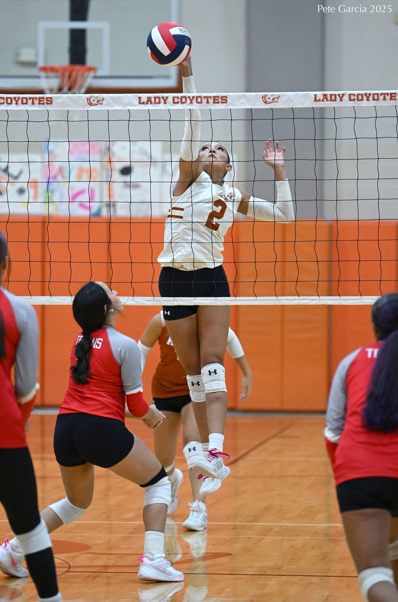 Volleyball block