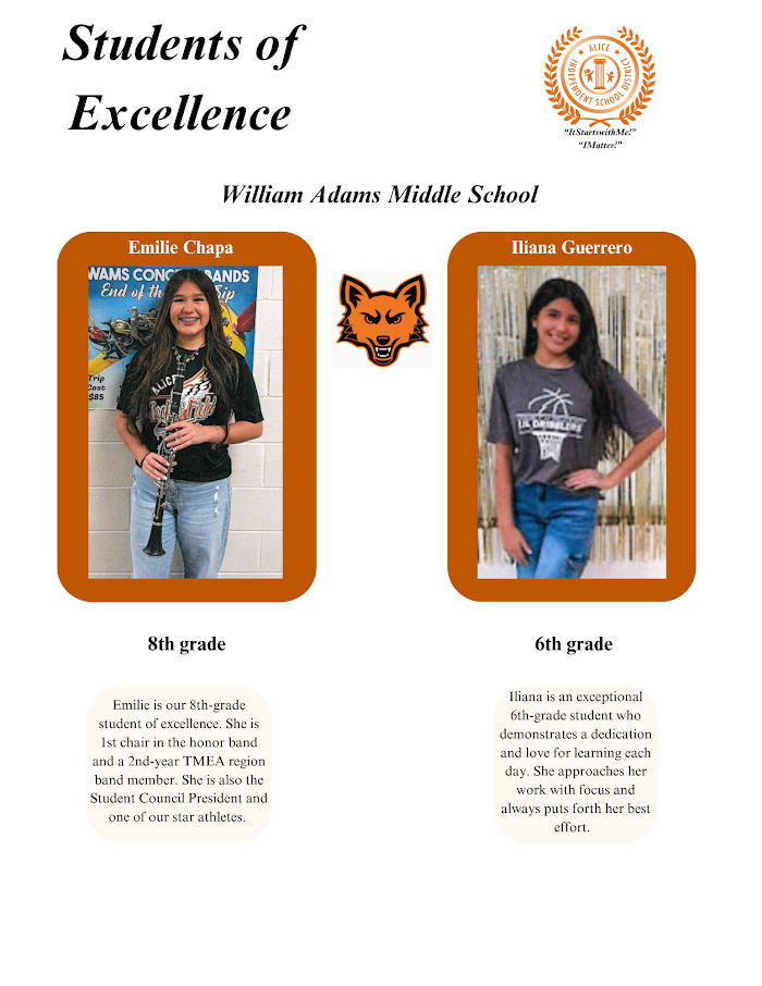WAMS student of Excellence