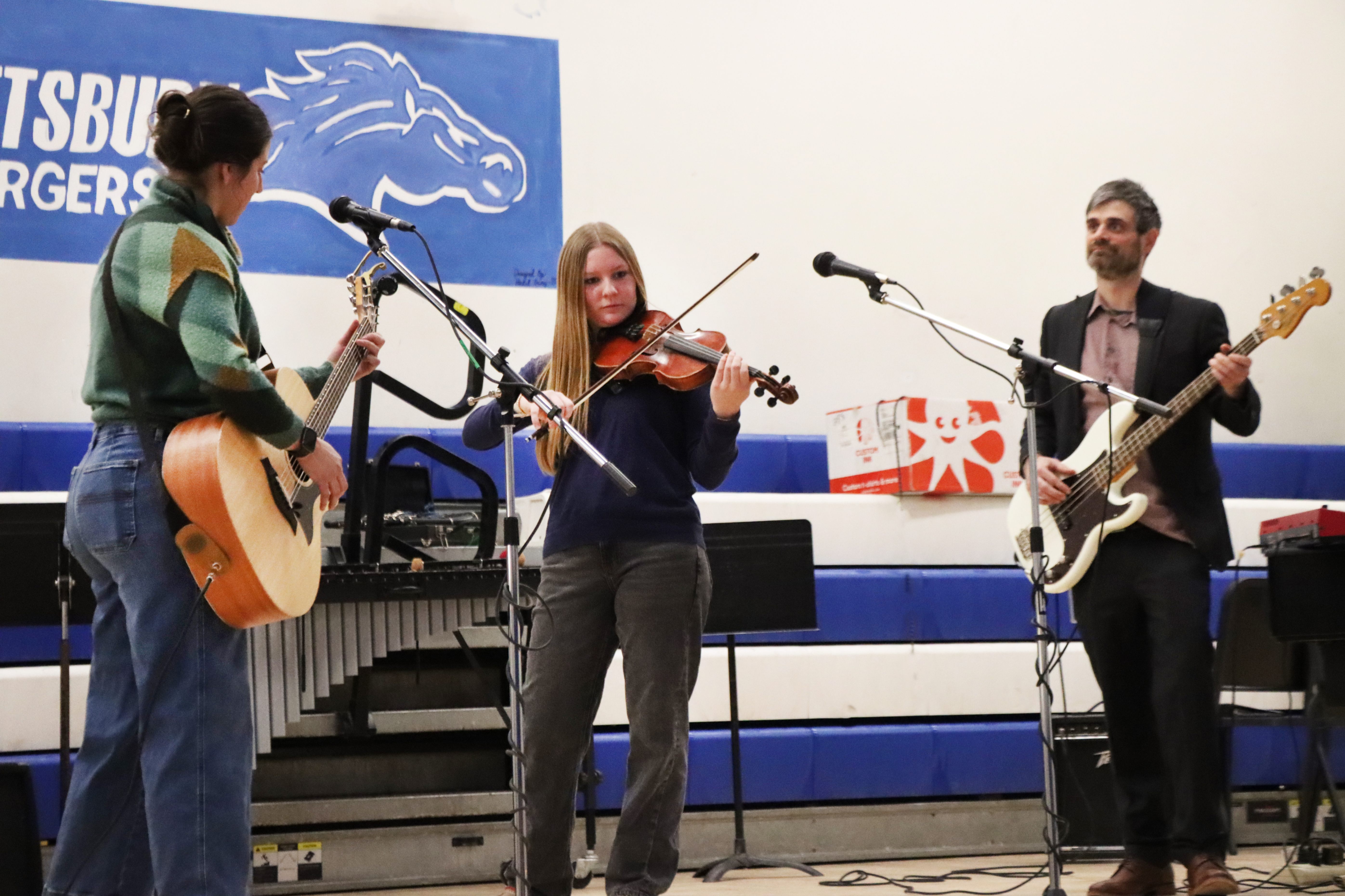 performers on guitar and violin